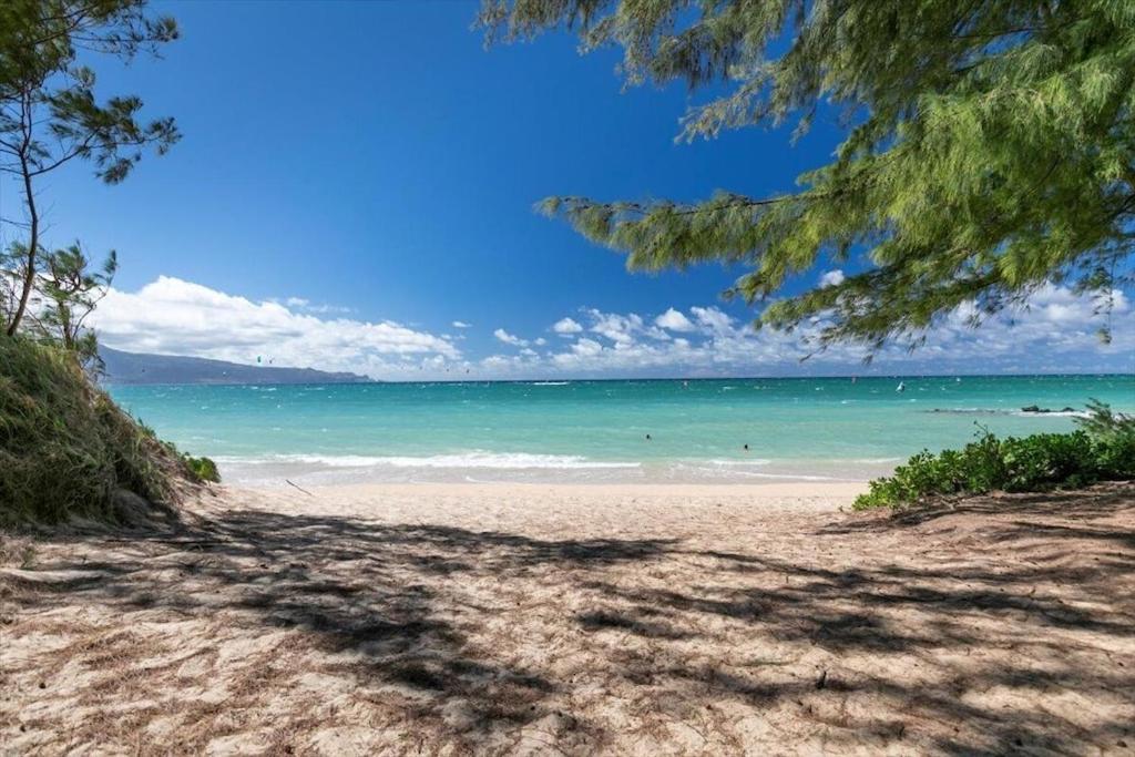 Unit 14 Maui Ohana Modern Studio Wailuku ภายนอก รูปภาพ